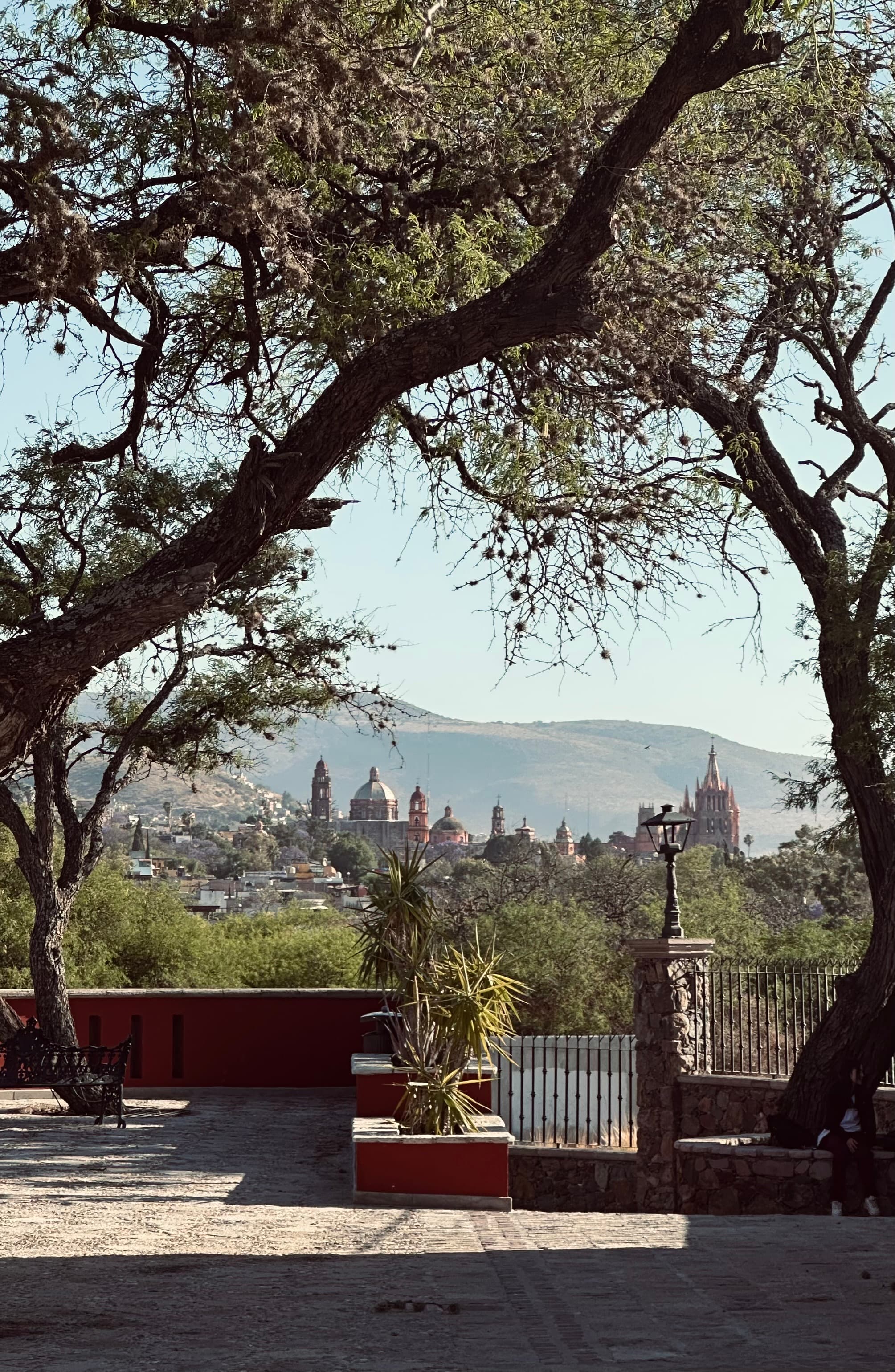 View of San Miguel de Allende